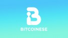 bitcoinese-logo.jpg