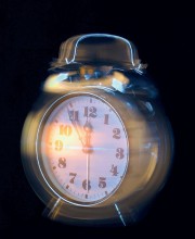bum16120122.jpg