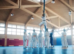 Deutsche Bank Mit Neuen Testimonials Judo Zwillinge Mit