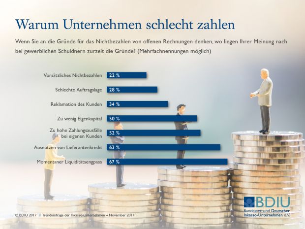 bdiu_umfrage_nov_2017_5_vxl.jpg