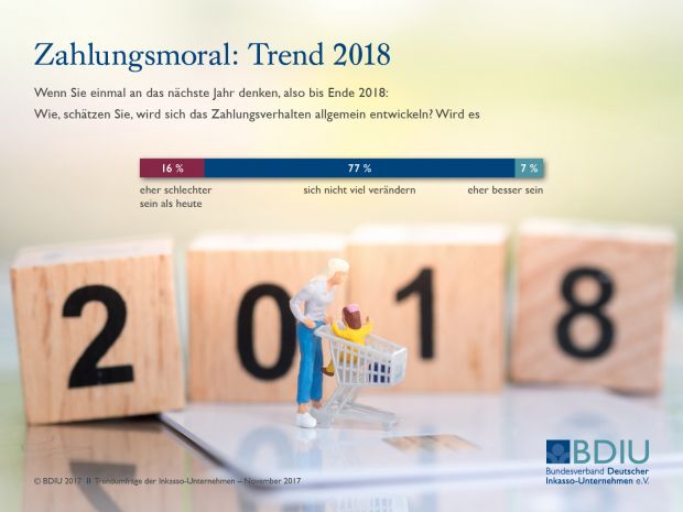 bdiu_umfrage_nov_2017_7_vxl.jpg