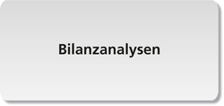 Bilanzanalysen